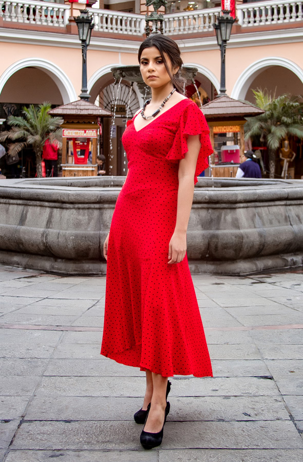 Lioneta - Imagen 3